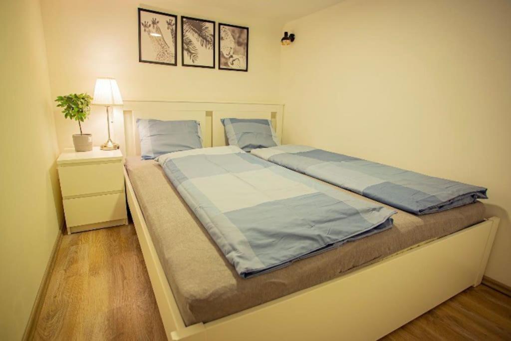 Cosy 2 Bedroom Flat In Akacfa St., Sol, Budapest